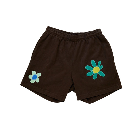 Chocolate Shorts